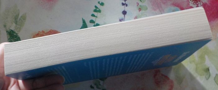 L'HOTEL NANTUCKET d'Elin HILDERBRAND Ed. France Loisirs - photo numéro 5