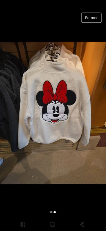 Polaire minnie disneyland paris