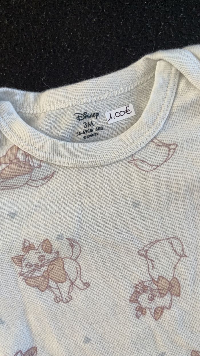 Bodie 3 mois - photo numéro 4