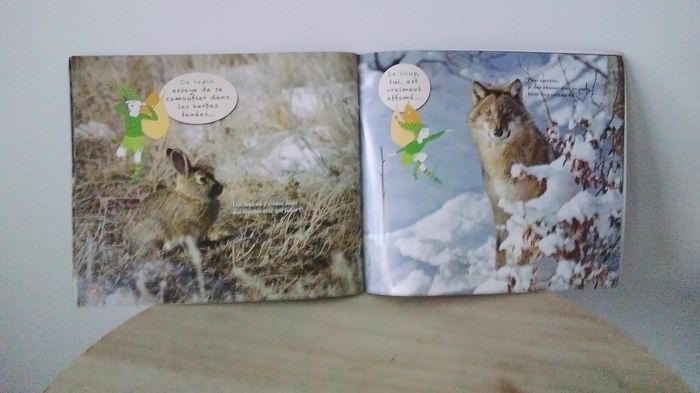 Livre en foret - photo numéro 2