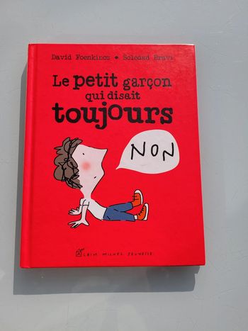 Livre Le Petit Garçon qui disait toujours NON, David Foenkinos (38)