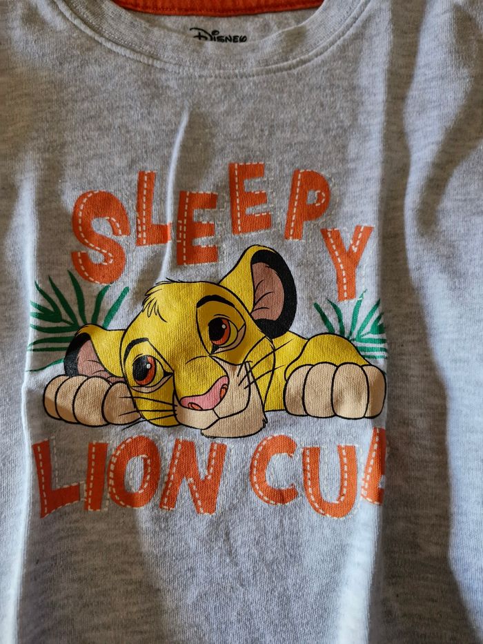 Lot roi lion - photo numéro 6