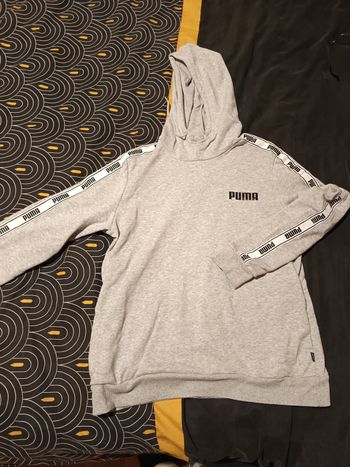 Sweat puma