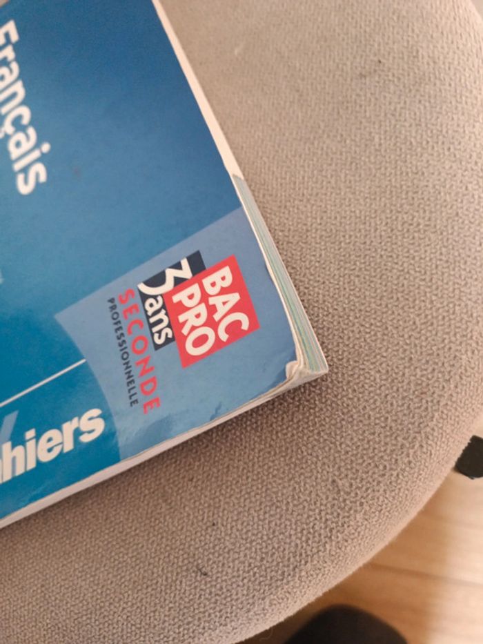 Cahier livre français bac pro 3 ans seconde professionnelle - photo numéro 8