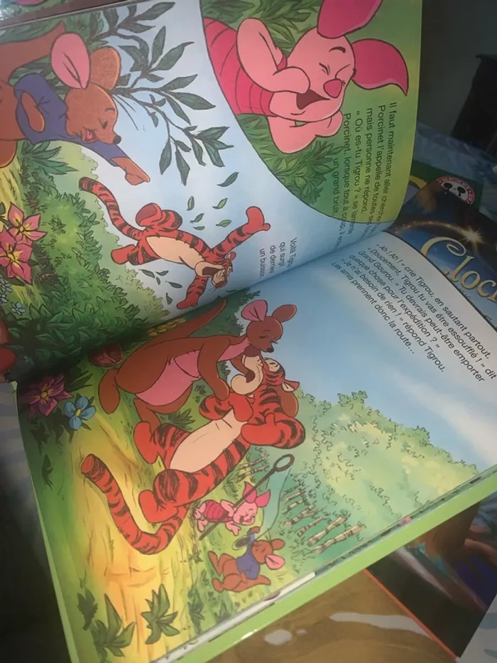 Lot de 15 livres Disney - photo numéro 3