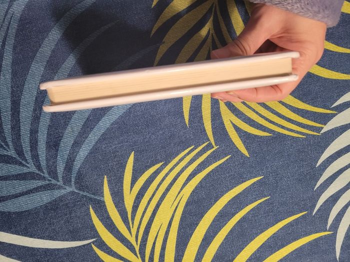 Livre p'tit mickey pilote d'avion disney - photo numéro 4