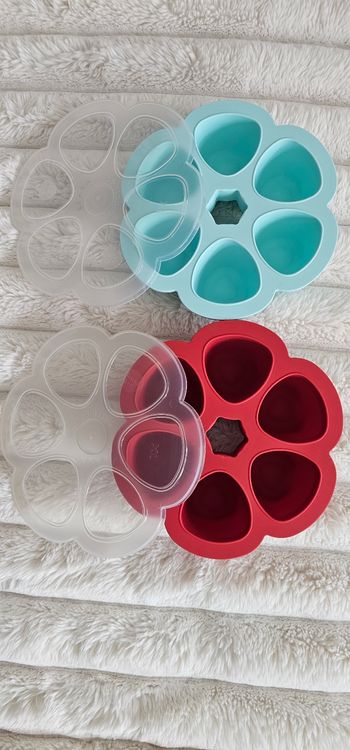 Lot de 2 fleurs 🌸 multiportions BEABA XL 150ML 