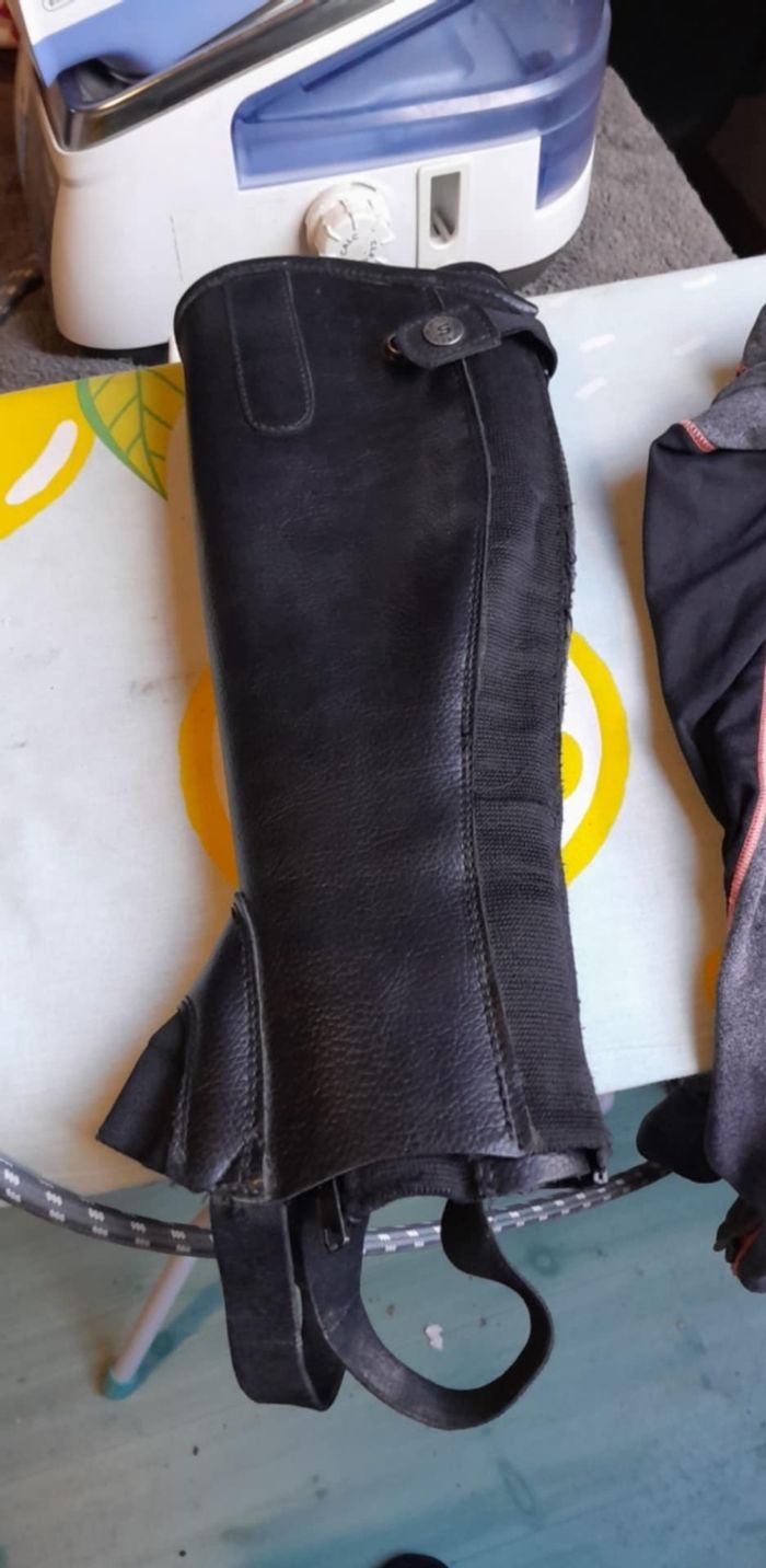 Chaps équitation  steeds