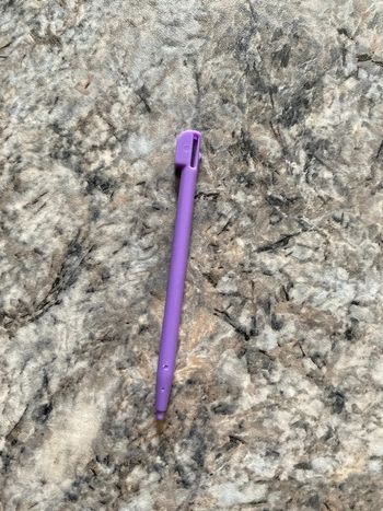 Stylet ds