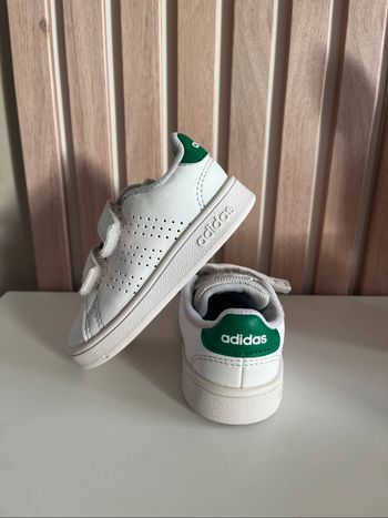 Basket Adidas