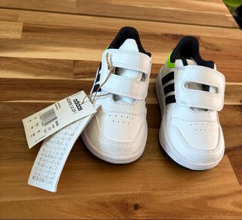 Basket Adidas 21 NEUF