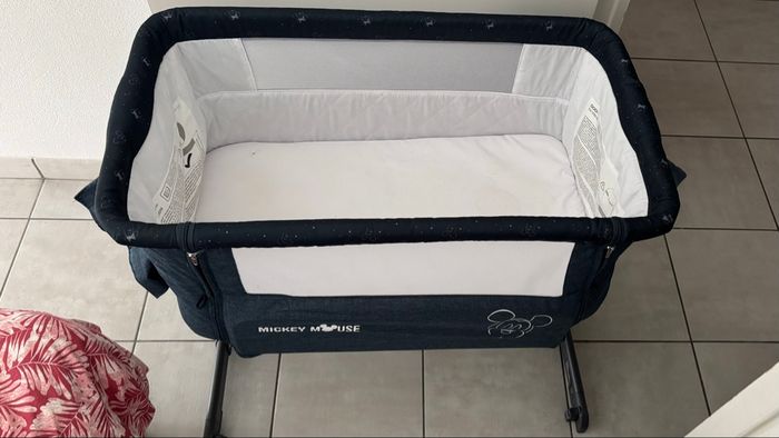 Cododo Mickey - photo numéro 3