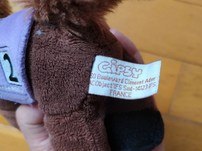 Cheval numéro 2 gipsy - photo numéro 6