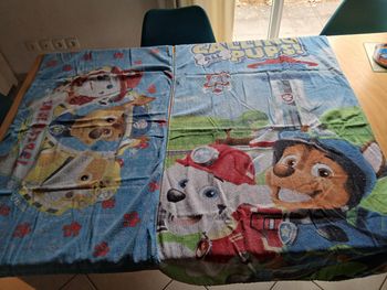Lot de 2 serviettes pat patrouille