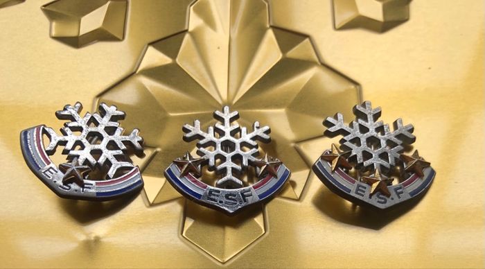 Insigne de de l’école de ski Française ( Au choix)