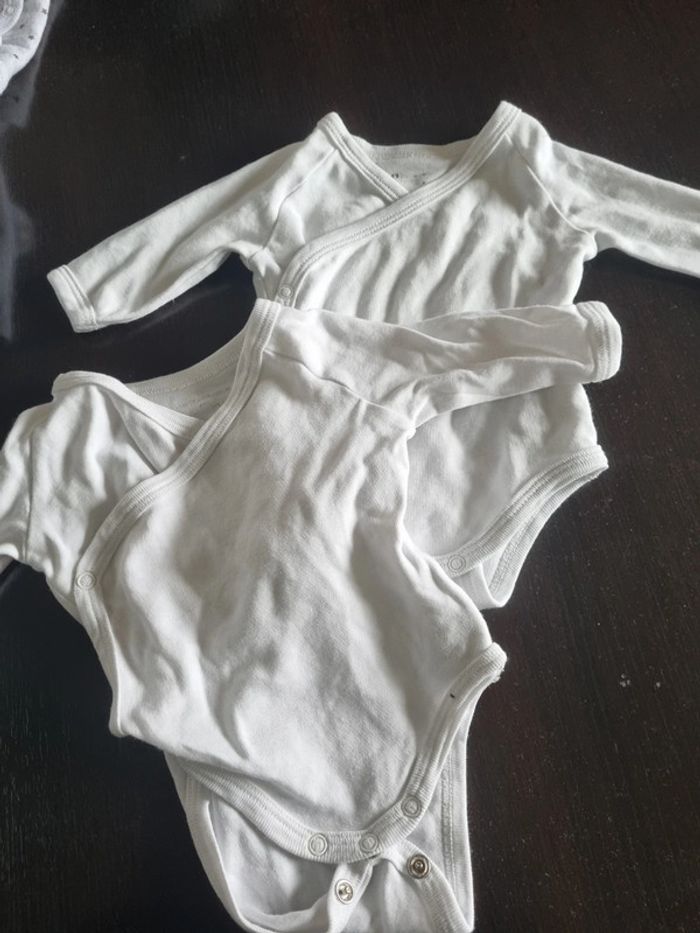 Lot 2 bodies