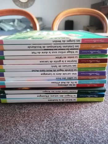 Lot de 15 livres mcdo les merveilles de France 