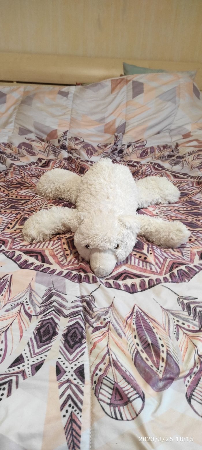 Peluche ours blanc - photo numéro 2