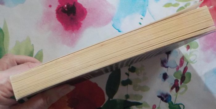 Marilyn la Dingue de Jérôme Charyn Ed. Folio Policier - photo numéro 4