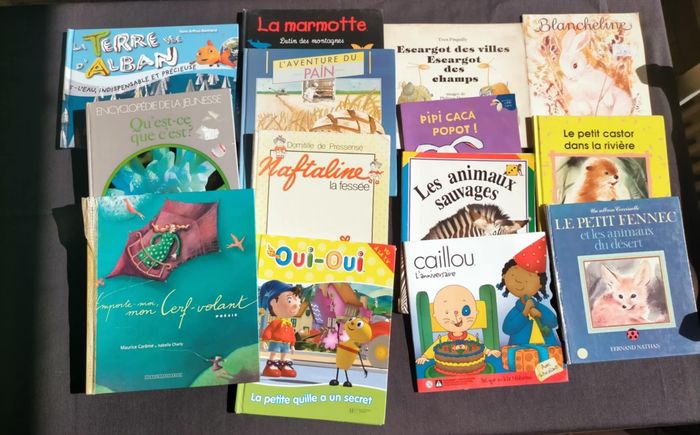 Lot de 14 livres enfants