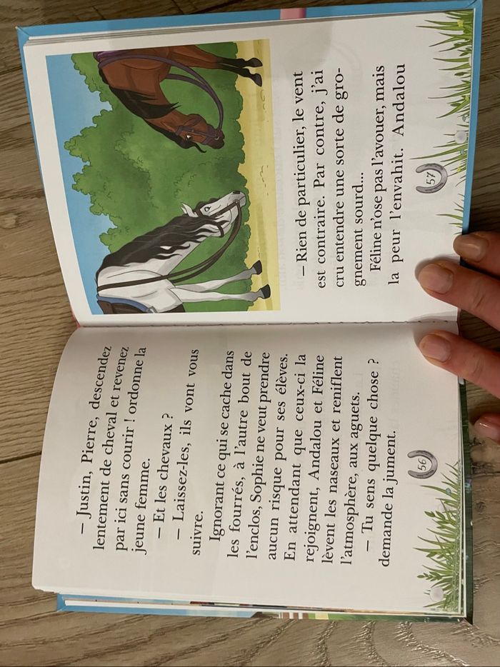 Livre Mes amis les chevaux - photo numéro 4