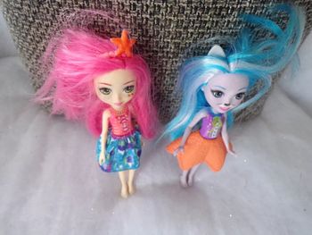 MATTEL lot de 2 petites poupées enchantimals