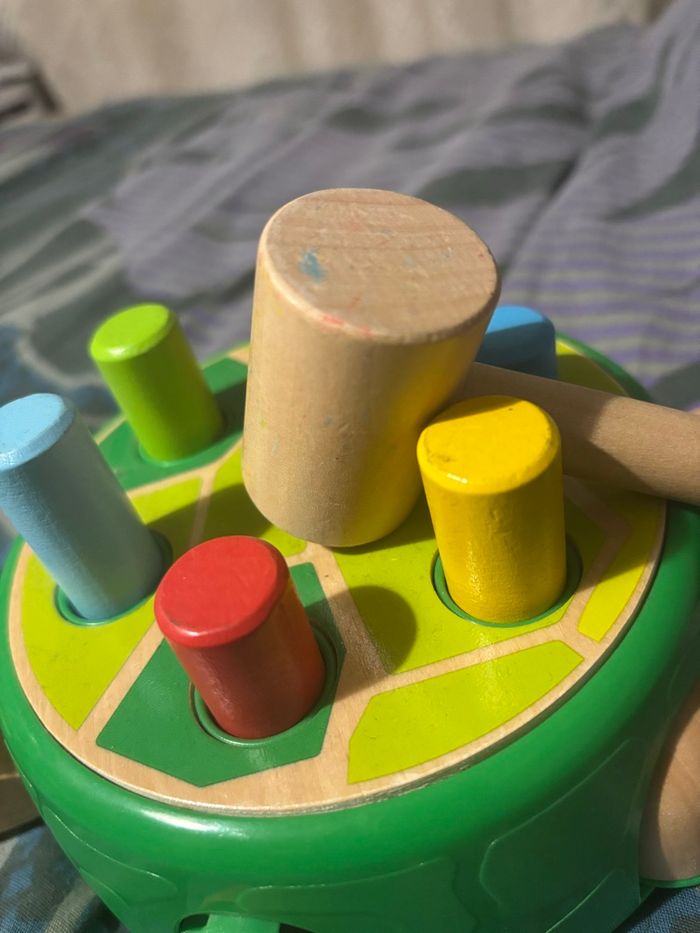 Tortue a taper - photo numéro 3