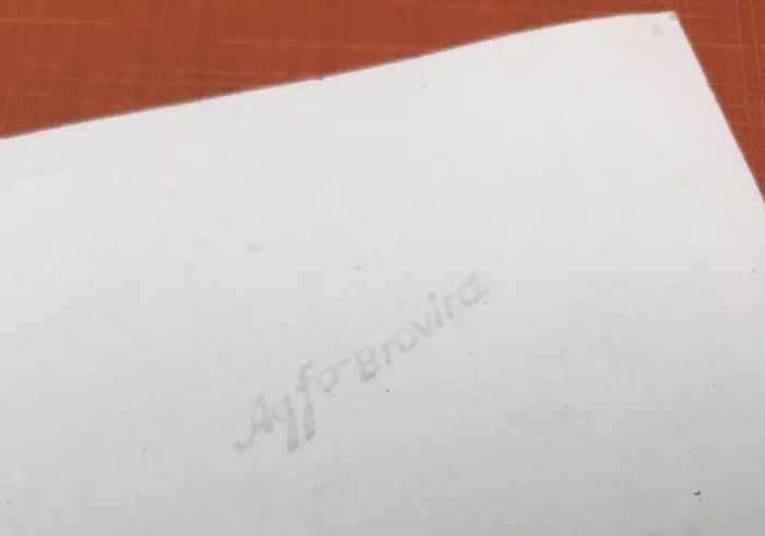 Ancienne photo argentique (Agfa Brovira) Château de Versailles Statue de la Marne - photo numéro 5