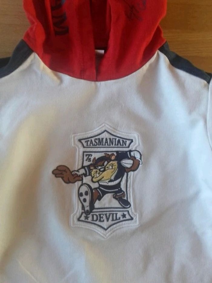 sweat à capuche taz 8/9 ans - photo numéro 3