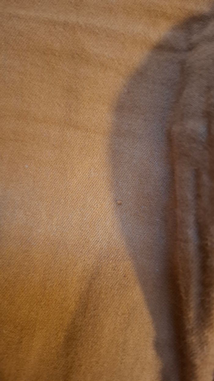 Pantalon moutarde - photo numéro 3