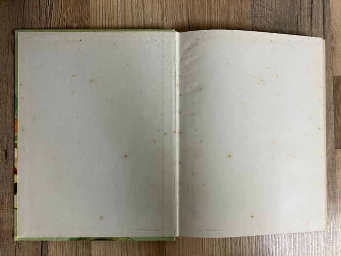 Livre relié -300 recettes culinaires pour maigrir - photo numéro 2