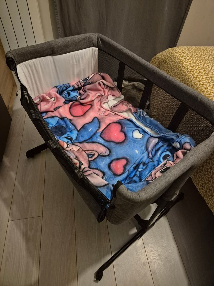 Cododo quax - photo numéro 2