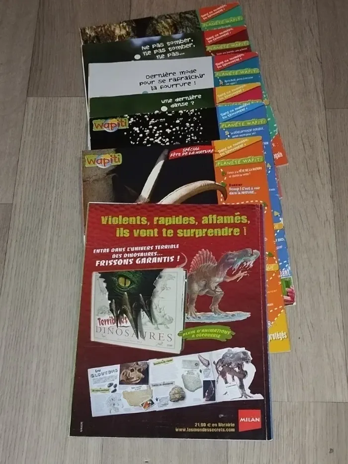 Lot de 7 magazines Wapiti année 2008-09 L025 - photo numéro 5