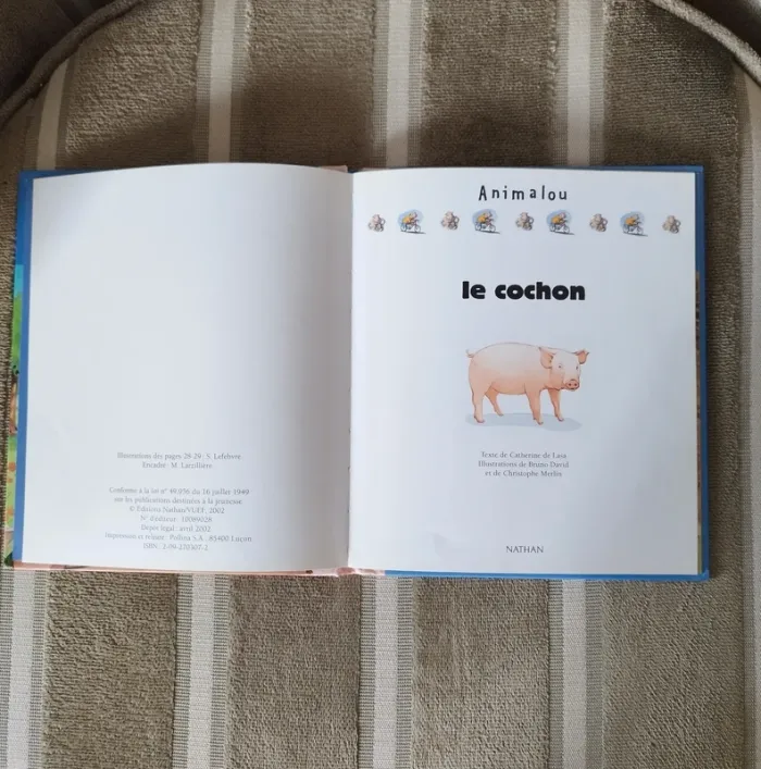 Livre pour enfant - photo numéro 2