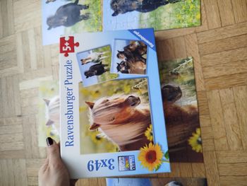 Puzzle chevaux 3×49 ravensburger
