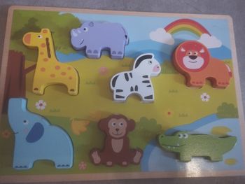Lot de 5 Puzzles a encastrer