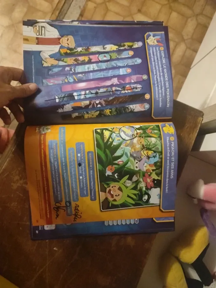 Livre cherche et trouve pokémon - photo numéro 6