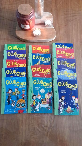 📚 Lot 14 livres Le club des 5 junior