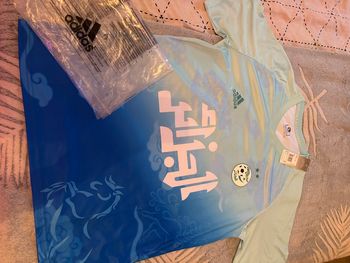 maillot de foot de l’algérie 