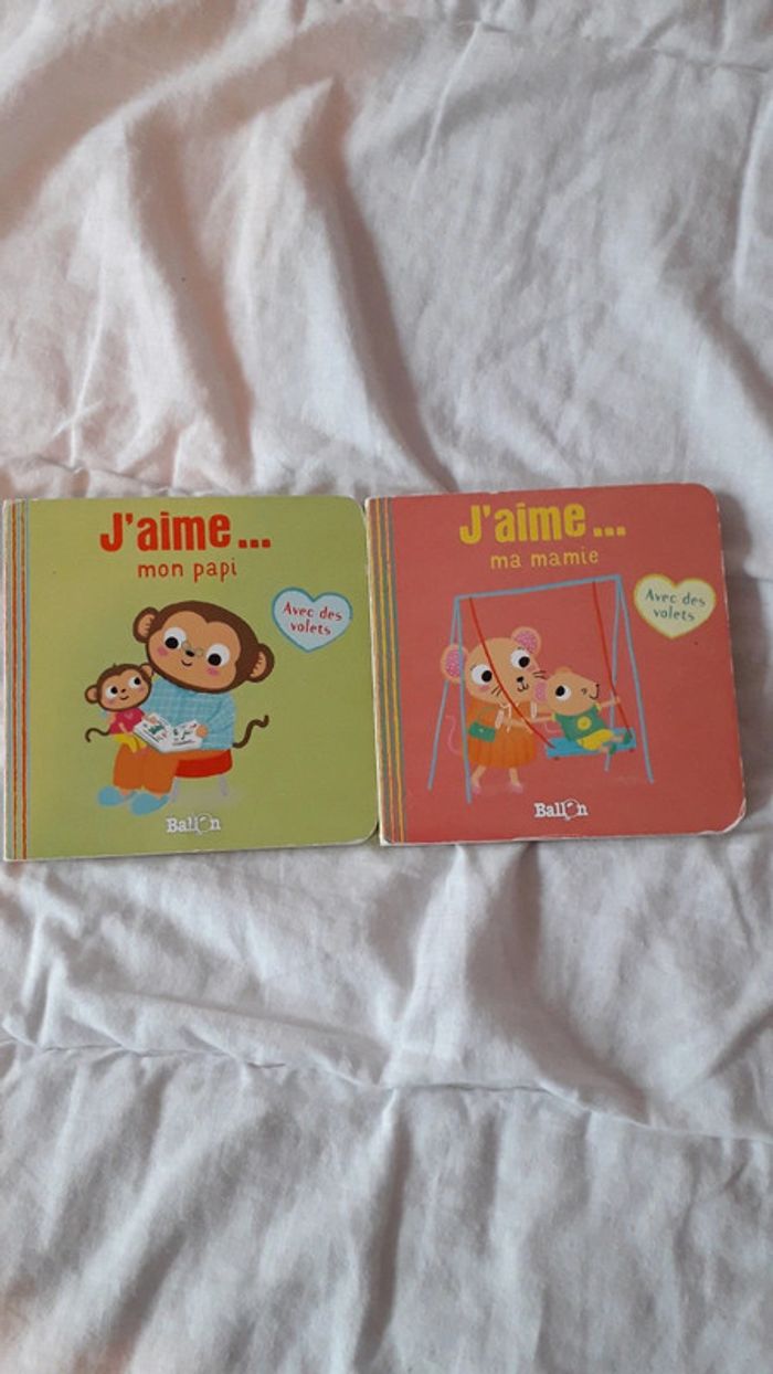 Lot de 2 livres cartonnés avec des volets 12 pages