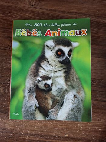 Livre mes 800 plus belles photos de bébés animaux piccolia