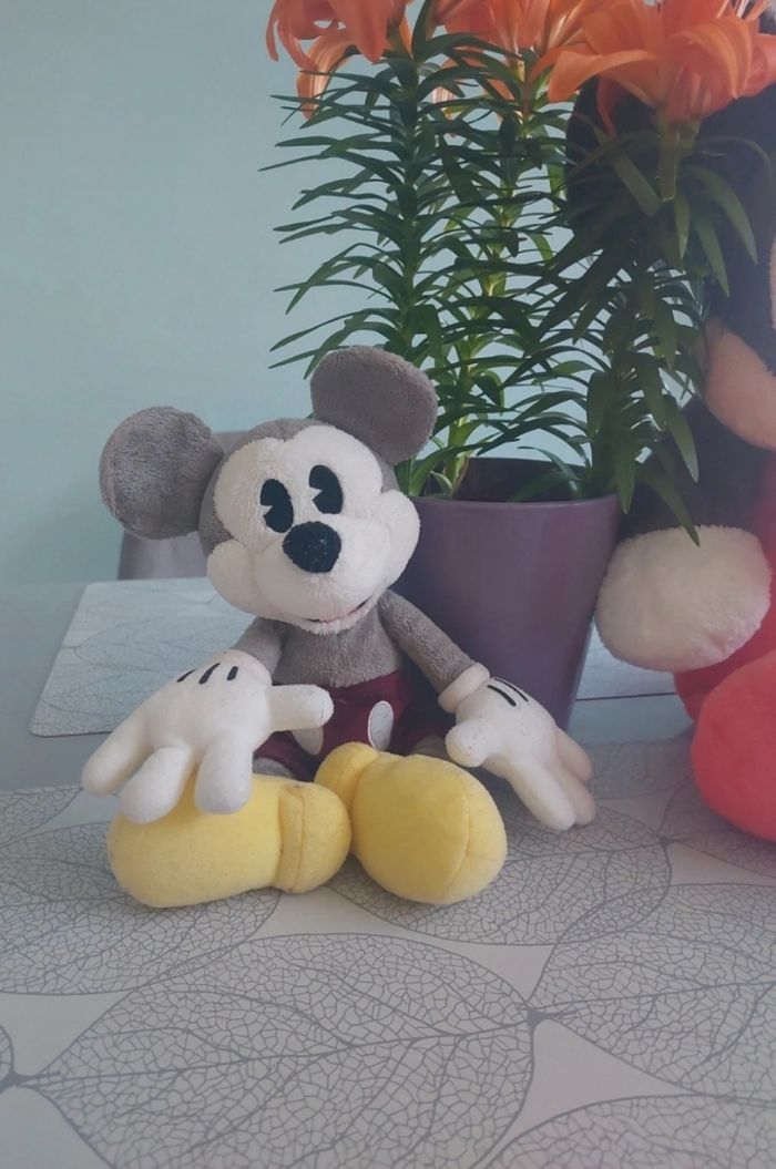 Lots de 2 peluches mickey - photo numéro 2