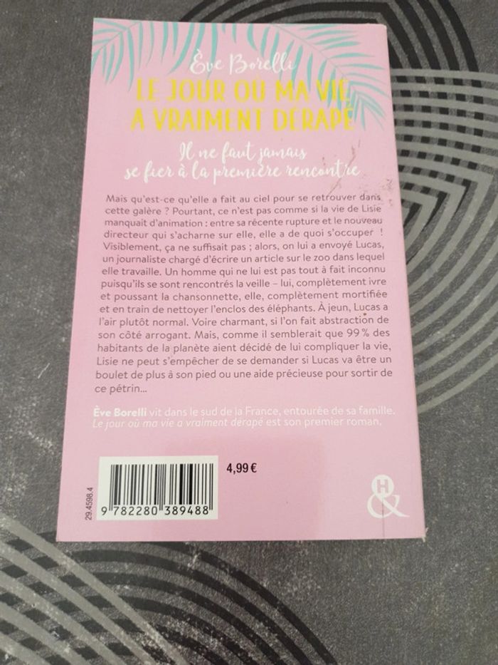 Le jour où ma vie a vraiment dérapé - photo numéro 3