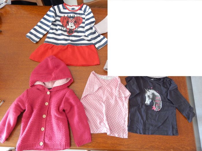 Lot vêtements fille 24 mois - photo numéro 2