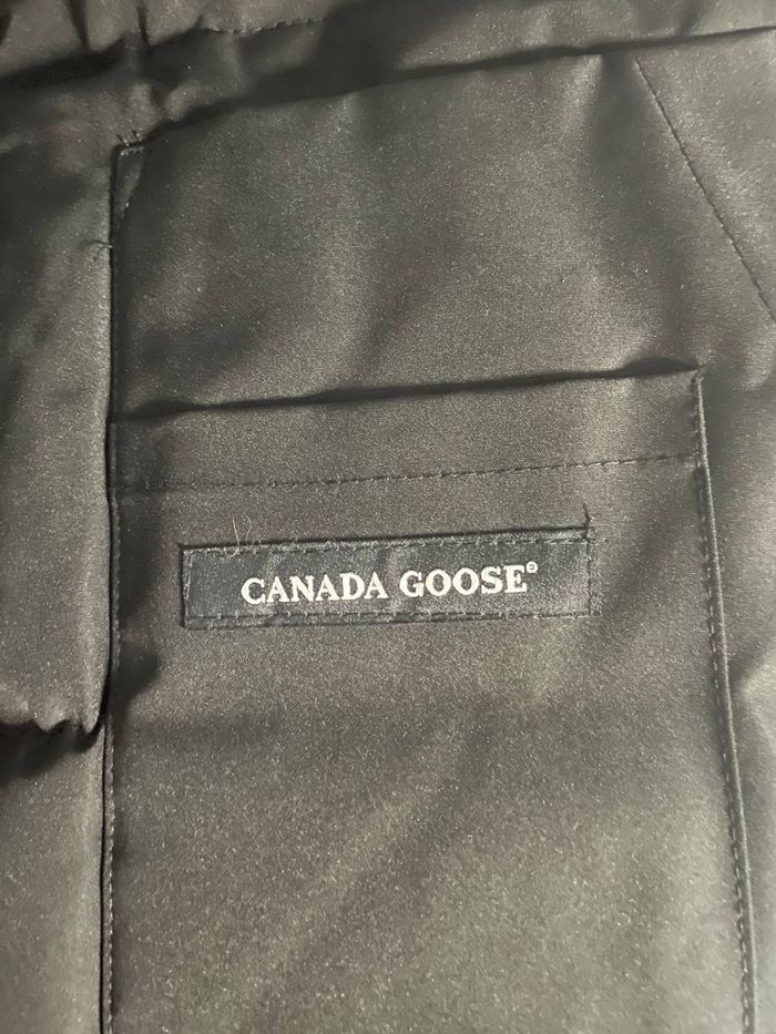 Canada goose