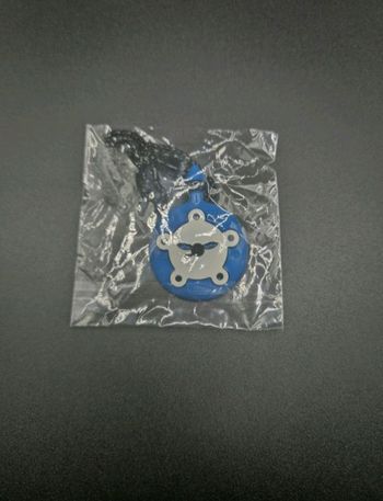 Bijou Miraculous du Lapin – univers Ladybug (livre)