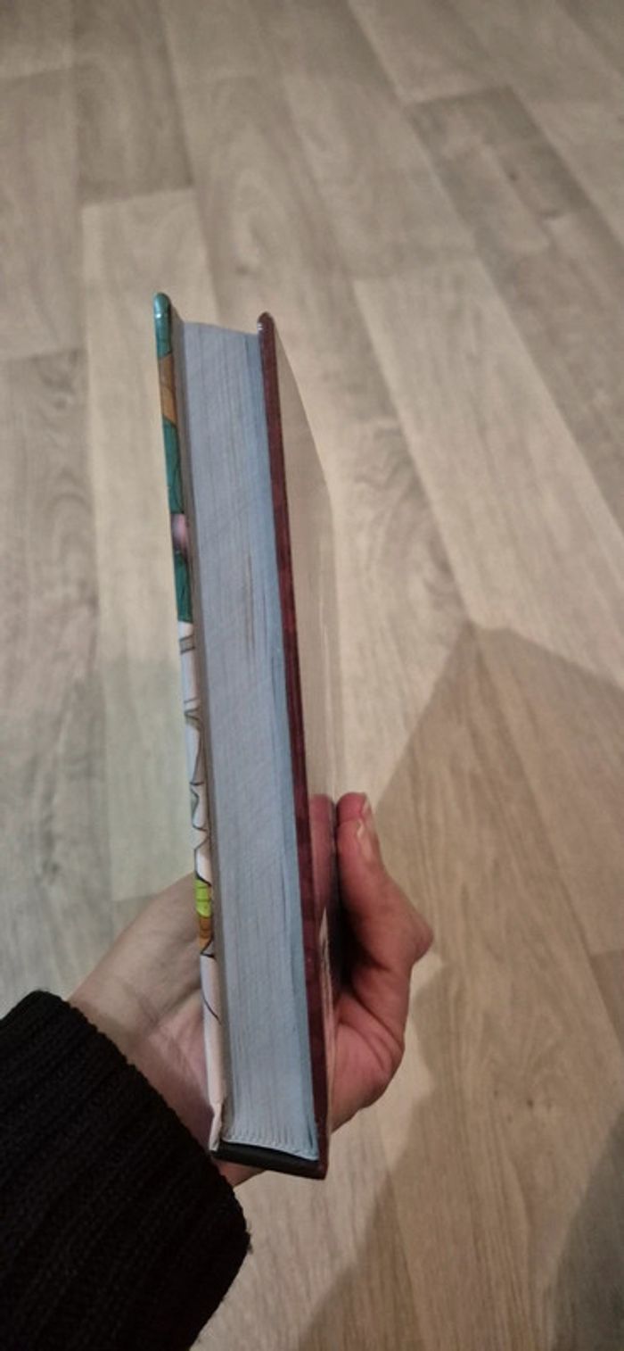 Livre - Pokedex - Région de Galar - photo numéro 13