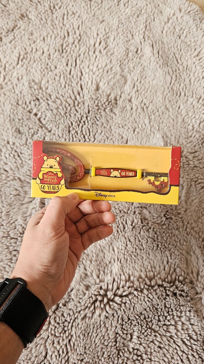 Winnie l’Ourson – Clé Collector Disney – Édition Anniversaire - photo numéro 4