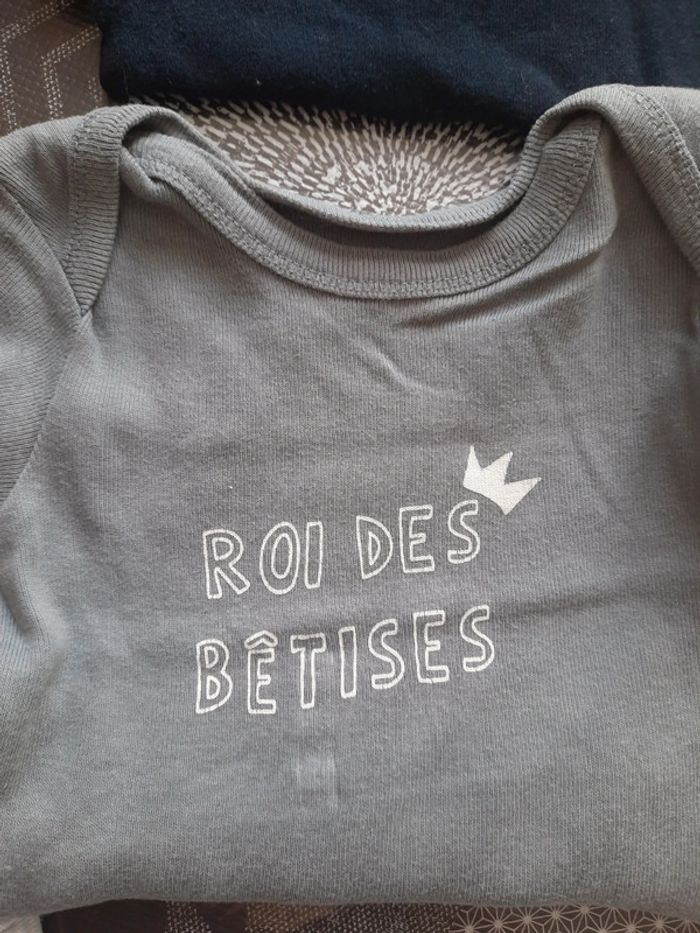 Lot 6 bodys manches courtes - photo numéro 3