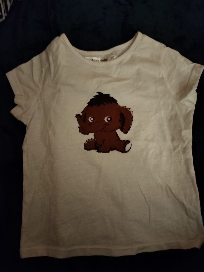 Tee shirt